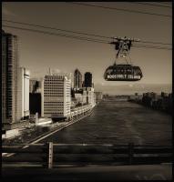 ©2025 Rachel LaQuercia
